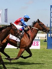 Thunder Dance wins the Paddock Stakes<br>Photo by Liesl King