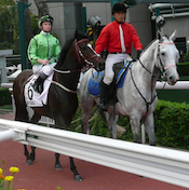 Xtension with James McDonald riding<br>Photo by Whistlejacket