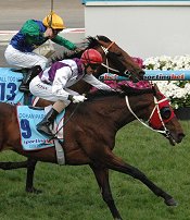 Ocean Park beats Al To Hard in the Cox Plate<br>Photo by Racing and Sports