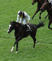 Berkshire wins at Royal Ascot