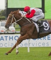 Hidden Warrior a good chance in Brisbane