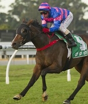 Lucky Lago heads to Melbourne for good races