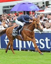 Ruler Of The World wins Epsom Derby<br>Photo by Pat Healy Photography