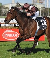 Under The Sun was comprehensive in taking the Winter Stks<br>Photo by Racing and Sports