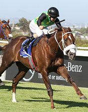 Variety Club wins Queens Plate<br>Photo by Liesl King