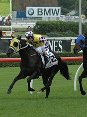 Sacred Falls winning the Doncaster