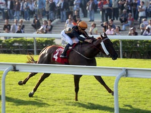 John Moore Audio Interview | Racing and Sports