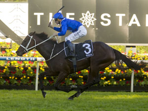 Winx is the equal shortest-priced winning favourite in Doncaster history.