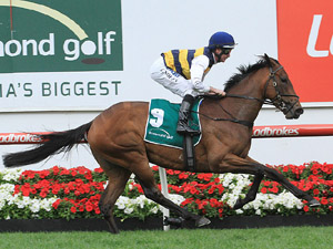 Aloisia was very fast in the Moonee Valley Vase