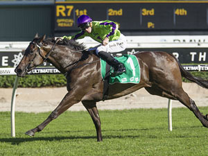 Global Glamour winning the Tab Light Fingers Stakes