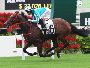 Household King winning the LUNG WUI HANDICAP