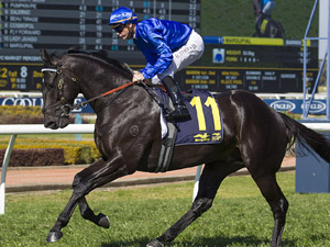 Saturday's Racing Preview With Chris Scholtz