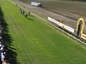 Racecourse : Clare (Australia)