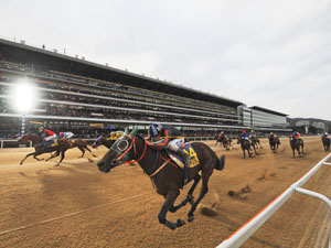 Sky Racing World to Provide South Korean Horse-Racing to North American Market