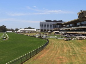 Racecourse : Warwick Farm (Australia)