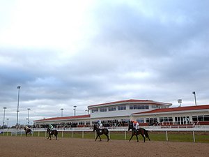 Racecourse : Chelmsford (Great Britain)