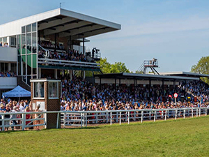 Racecourse : Plumpton (Great Britain)