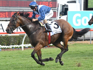 Viddora wins the MM Snippets