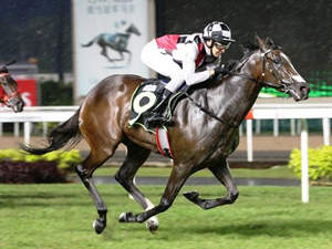 What's New winning the RESTRICTED MAIDEN