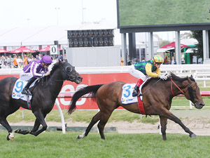 Ball Of Muscle winning the Schillaci Stakes