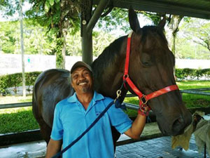 Clarton Super chills after a refreshing hose-down from his groom Ahmad Salleh following his barrier trial on Tuesday.