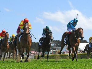 Sun Ops To Make Winning Debut