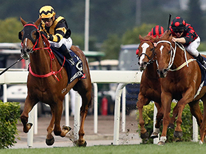GLORIOUS FOREVER completes a clean sweep of all four G1s for Hong Kong with a win in the LONGINES Hong Kong Cup.