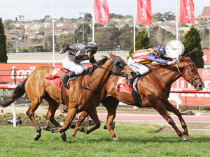 Nature Strip wins the McEwen Stakes