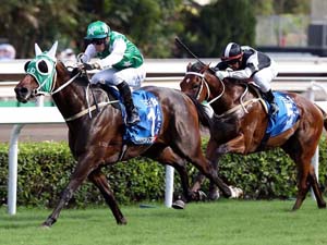 Pakistan Star To Paul O'Sullivan