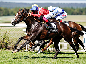 REGAL REALITY winning the Bonhams Thoroughbred Stakes at Goodwood in Chichester, United Kingdom.