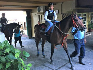 Troy See after his easy canter on his first ever Mauritius ride around the Champ de Mars, The Thinker.