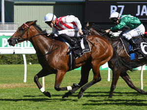 Shoals winning the James Boag's Surround Stakes