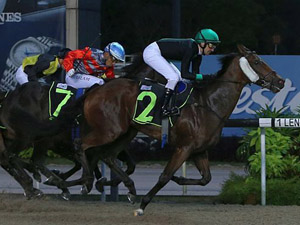 Street Party winning the RESTRICTED MAIDEN