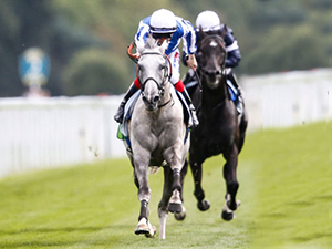 THUNDERING BLUE running in the juddmonte International Stakes in York, United Kingdom.