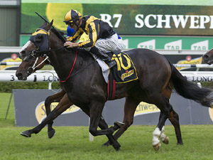 Trapeze Artist winning the All Aged Stakes