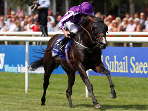 U S Navy Flag winning the Darley July Cup Stakes (Group 1)