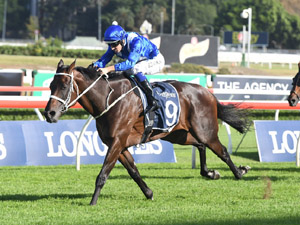 Winx makes it Number 25