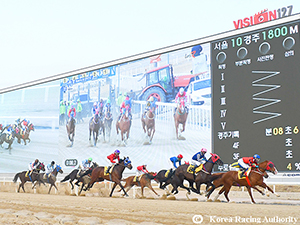 Hope For Korea’s Racing Industry As Lawmakers Propose Online Wagering Bill