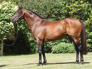 A Verry Elleegant Weekend For Zed