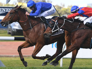 ALIZEE winning the Missile Stakes