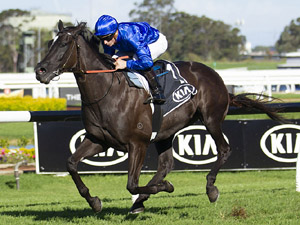 The Rosehill Timeform Wrap - March 30