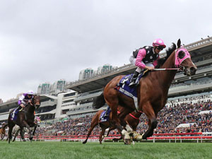 Beauty Generation winning the The Queen's Silver Jubilee Cup