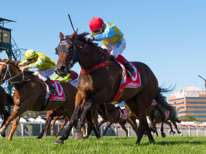 Booker Delights In Oakleigh Plate