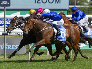 Deprive winning the Sydney Stakes