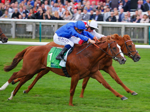 「大地光芒」胜出中央公园锦标赛