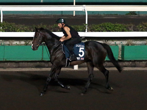 EMINENT was seen during the trackwork session in Hong Kong.