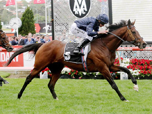 Hunting Horn winning the Moonee Valley Gold Cup