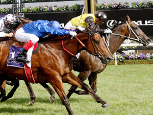 In Her Time winning the Black Caviar Lightning Stakes