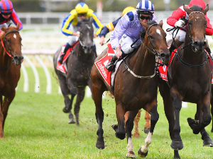 MEUSE winning the Thomas North Hcp during Melbourne Racing at Caulfield in Melbourne, Australia.