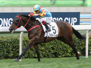 Mission Tycoon winning the The Hong Kong Classic Cup